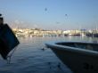 CIMG0764.JPG